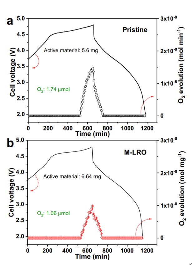 2.2023-07-31 093201.jpg