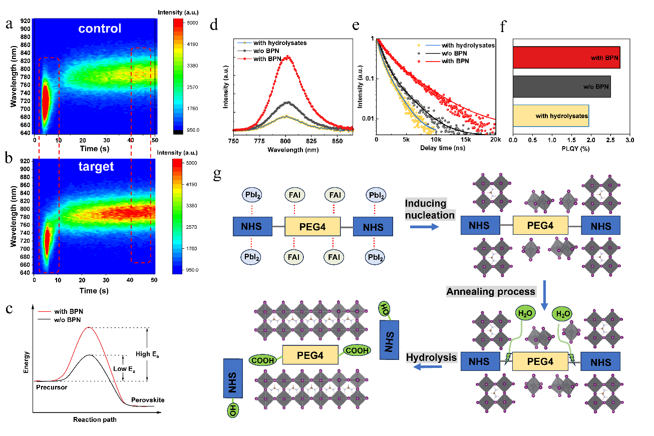 云顶4008集团官网